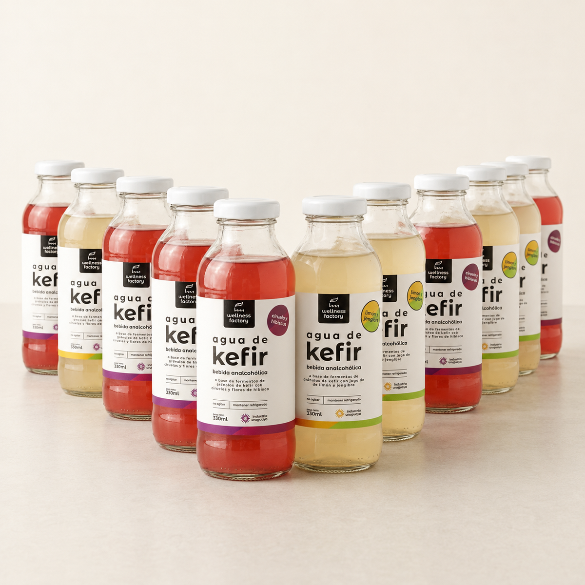 Pack Kefir: 12 Botellas de 330ml — Ciruela e hibiscos y Limón y jengibre | Wellness Factory