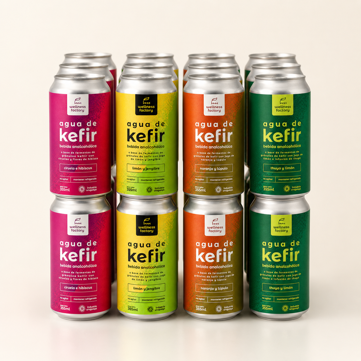 Pack 24 latas kefir 355ml surtido 4 sabores — Wellness Factory Uruguay