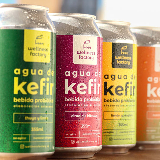 Pack 12 latas kefir probiótico — bebida fermentada artesanal Uruguay