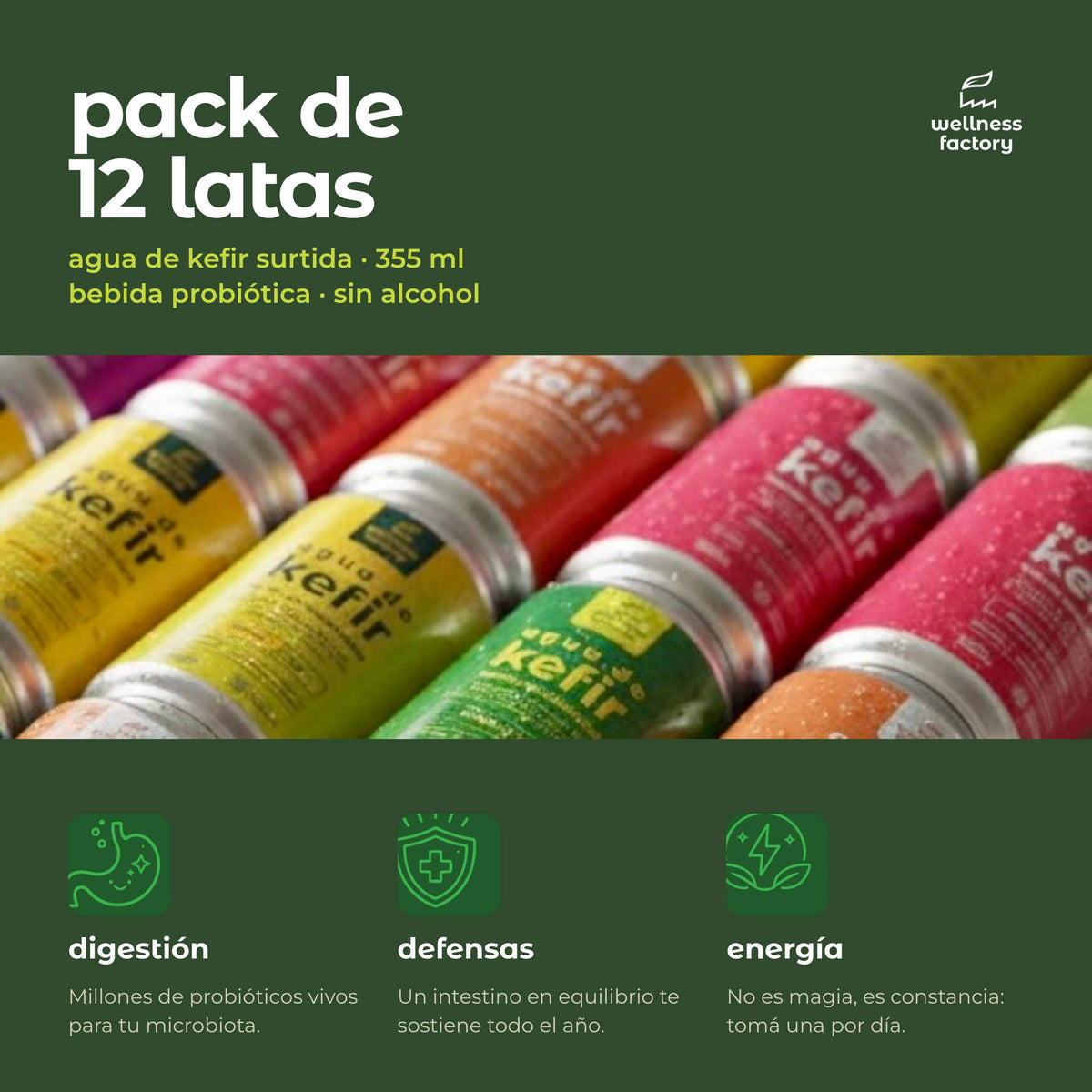 Pack Agua de Kefir: 12 Latas 355ml — 4 sabores | Wellness Factory