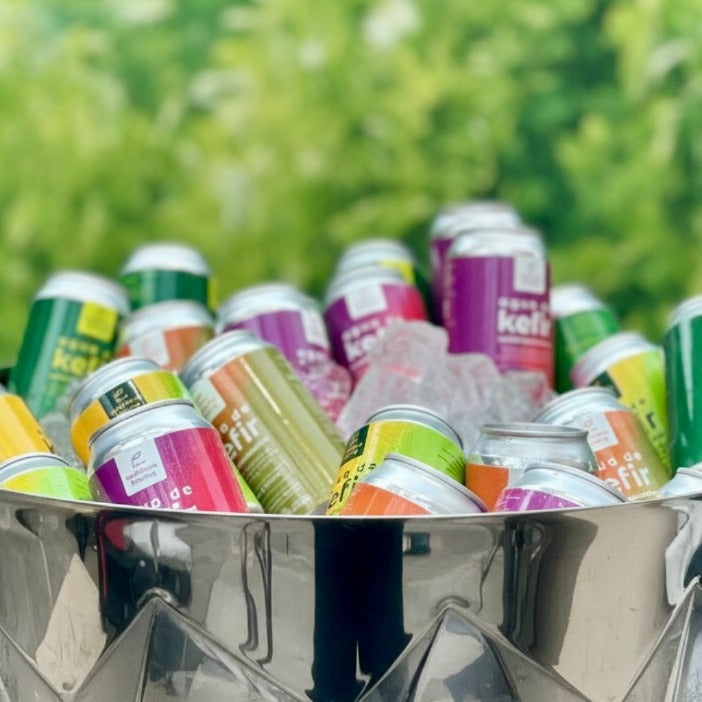 Pack 24 latas kefir en hielo — probiótico artesanal Wellness Factory