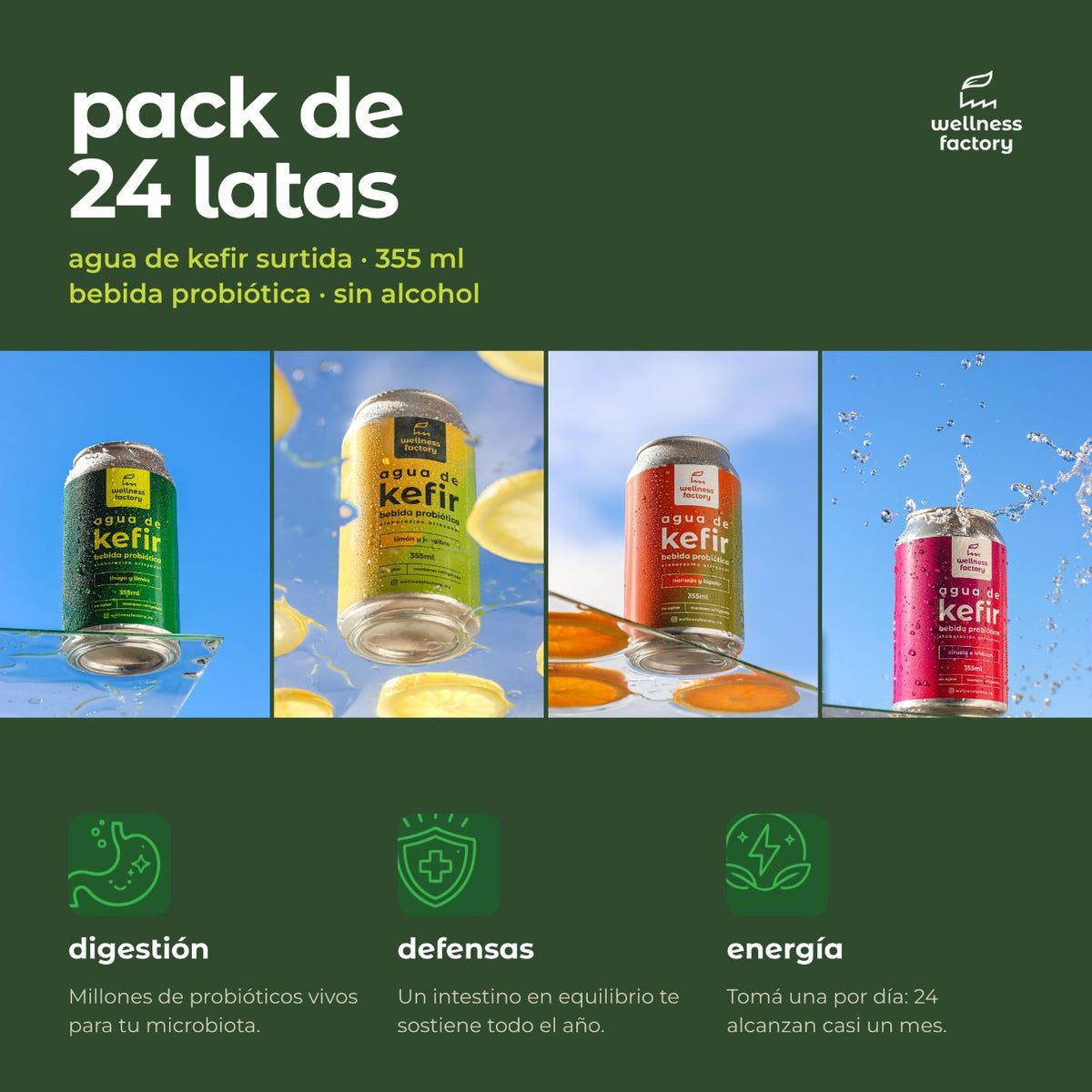  Información nutricional pack 24 latas kefir artesanal Uruguay